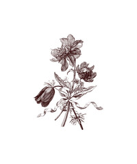 black and white flower