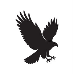 Fototapeta premium SHADOWS OF THE SKY WANDERERS