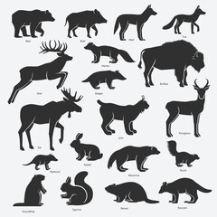 Set of Wild animals of North America. Vector illustration