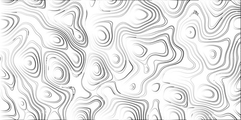 Fototapeta premium Abstract topographic map style pattern with swirling organic lines in grayscale, creating a textured and visually complex background with contour-like shapes and subtle gradients