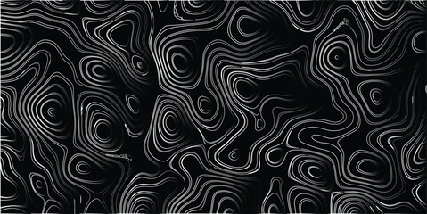 Obraz premium Abstract topographic map style pattern with swirling organic lines in black and white, creating a textured and visually complex background with contour-like shapes