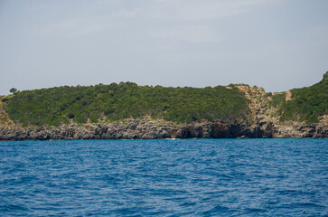 Rocky coastline with green shrubs and blue sea under clear sky