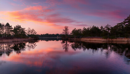 Obraz premium Tranquil Lake Reflecting Soft Pink And Orange Sky With Trees On Calm Water Surface