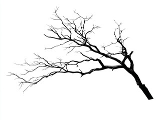 Obraz premium A stark silhouette of a bare tree branch against a white background