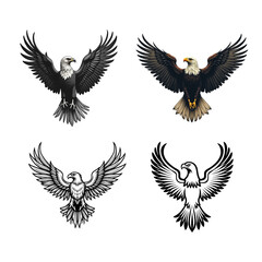 Symbolic eagle illustration realistic art and monochrome outline
