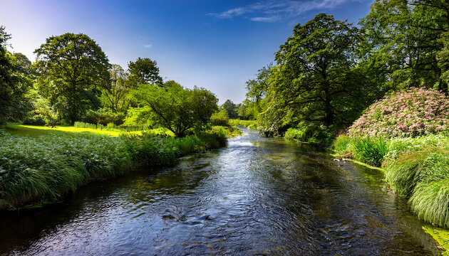 The River Dodder Flowing Through The Lush Greenery Of The National Botanic Gardens In Dublin Ireland On A Bright Summer Day