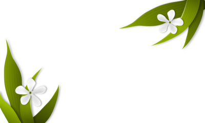 spring flower background