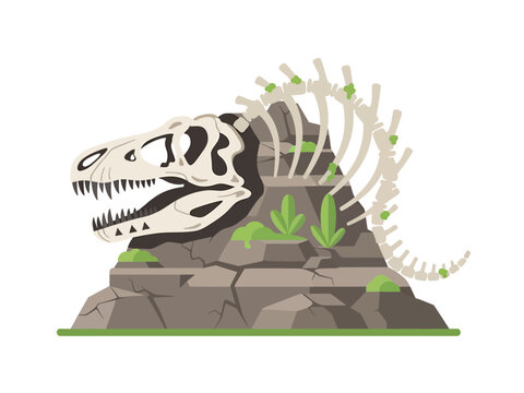 A dinosaur fossil, vector illustration design