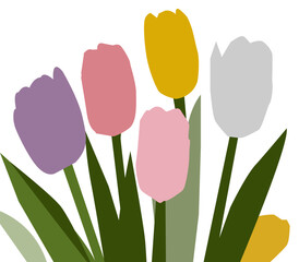 set of colorful tulips