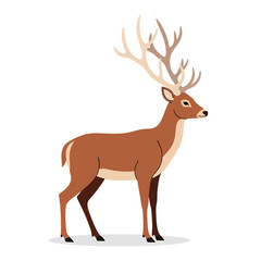 Irish Elk, vector illustration design
