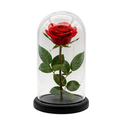 Enchanted Red Rose in Glass Dome