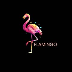 pink flamingo on a black