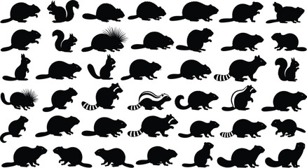 Naklejka premium Rodent and small mammal silhouettes set featuring squirrel beaver raccoon porcupine isolated black vector wildlife illustration collection