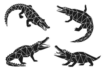 Placeholder image display