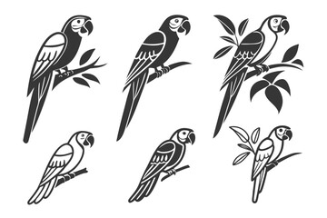 Fototapeta premium Placeholder image display