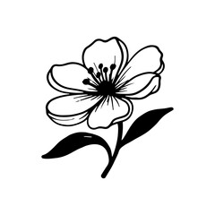 Elegant Line Art Flower Blossom