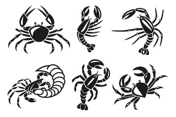 Placeholder image display