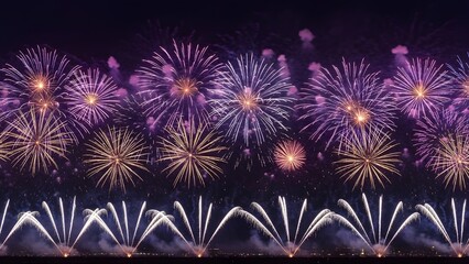 fireworks in the night sky