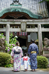 Family wearing yukata standing in front of traditional stone torii gate with hydrangeas. Kyoto, Japan.
