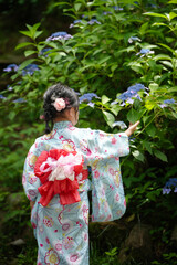 Little girl wearing floral yukata touching blooming hydrangea flowers. Kyoto, Japan.