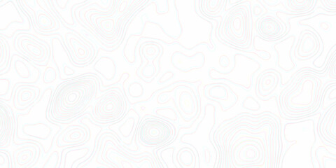 White wave paper curved reliefs abstract background, Abstract topographic contours map background. Black and white lines seamless Topographic map patterns, topography line map. © Elana
