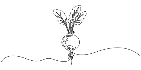 Continuous one line drawing of whole and half sliced healthy organic raw beetroot for farm logo identity. Fresh table beet concept vegetable icon. Single line draw design vector graphic illustration,  © Vector Man
