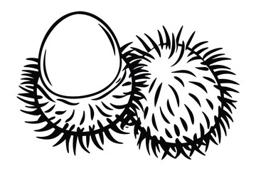Obraz premium Rambutan Outline Two Exotic Tropical Fruits Isolated on White Background