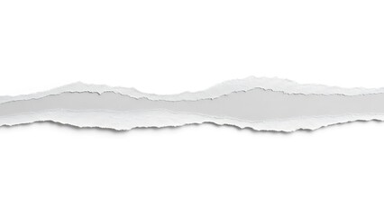 Torn paper edge border