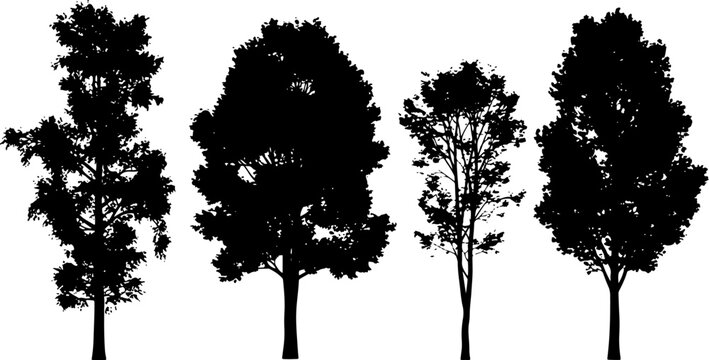 Set of four detailed black tree silhouettes featuring various leaf densities and branching patterns for architectural visualization and landscape design.