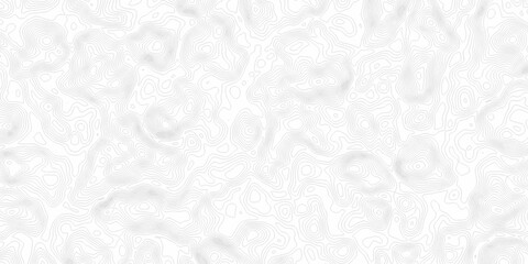 White wave paper curved reliefs abstract background, Abstract topographic contours map background. Black and white lines seamless Topographic map patterns, topography line map.