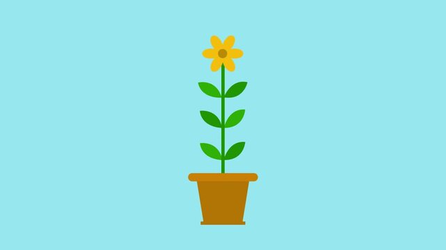 Plant Growing and Flower Blooming Animation in Pot for Business Growth and Ecology Concept