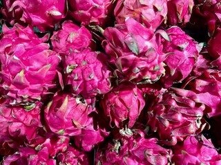 View from above of fresh dragonfruits in the market