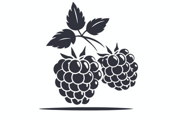 Two black and white raspberries sit side by side with leaves, isolated