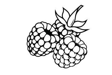 Two blackberries with Leaves Icon Isolated on White Background