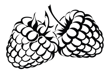Two connected raspberries in black outline offer a clean monochrome botanical design