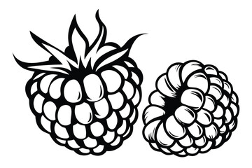 Two detailed black raspberry designs present a striking contrast in size and form