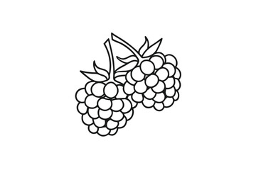 Two Raspberries Outline Style, Black Line Art Design on White Background