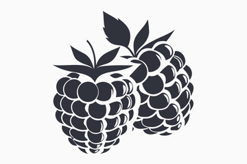 Two raspberries showcase minimalist black outlines and a pop of red coloring on the white background