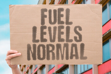 "Fuel Levels Normal" Pre-flight checks showed adequate reserves onboard. FUEL. ADEQUATE. SUFFICIENT. NORMAL. CHECKED.