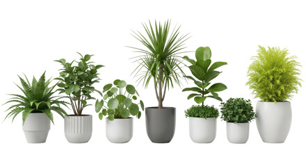 Obraz premium A Symphony of Green: A diverse collection of indoor plants, each thriving in its unique ceramic pot, forms a vibrant and textured botanical arrangement.