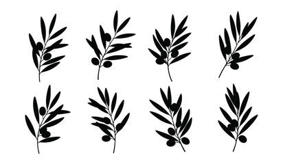 Obraz premium Olive branches with fruits vector set, elegant black leaves and olives, healthy food and mediterranean diet symbols illustration isolated
