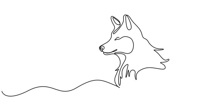 Self drawing simple animation of single continuous one line drawing of fox head. Animated black lines drawing by hand, Animated self drawing of   One line drawing of wolf head in profile. Wolves