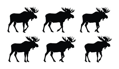 Fototapeta premium Set of black moose vector silhouettes, majestic animal with large antlers, various moose icons on white background