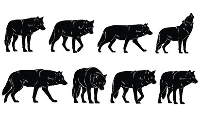 Silhouettes of wolves collection isolated on white background different poses howling walking running standing black