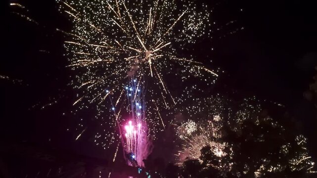 Fireworks celebrate in the sky