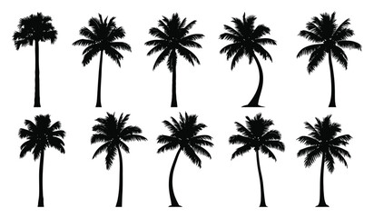 Tropical palm trees silhouettes set featuring various shapes and sizes ideal for vacation beach designs island theme
