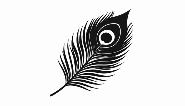 Elegant black and white peacock feather illustration on white background.