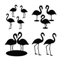 Fototapeta premium Elegant black flamingo bird silhouettes collection for tropical design and decor
