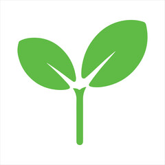 A simple green sprout illustration depicting new life and growth