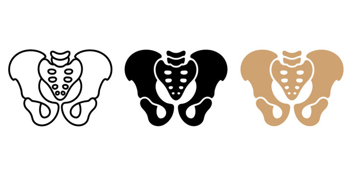 Human pelvis bone icons set in outline, solid black, and tan color styles, pelvic girdle anatomy vector illustration isolated on white background